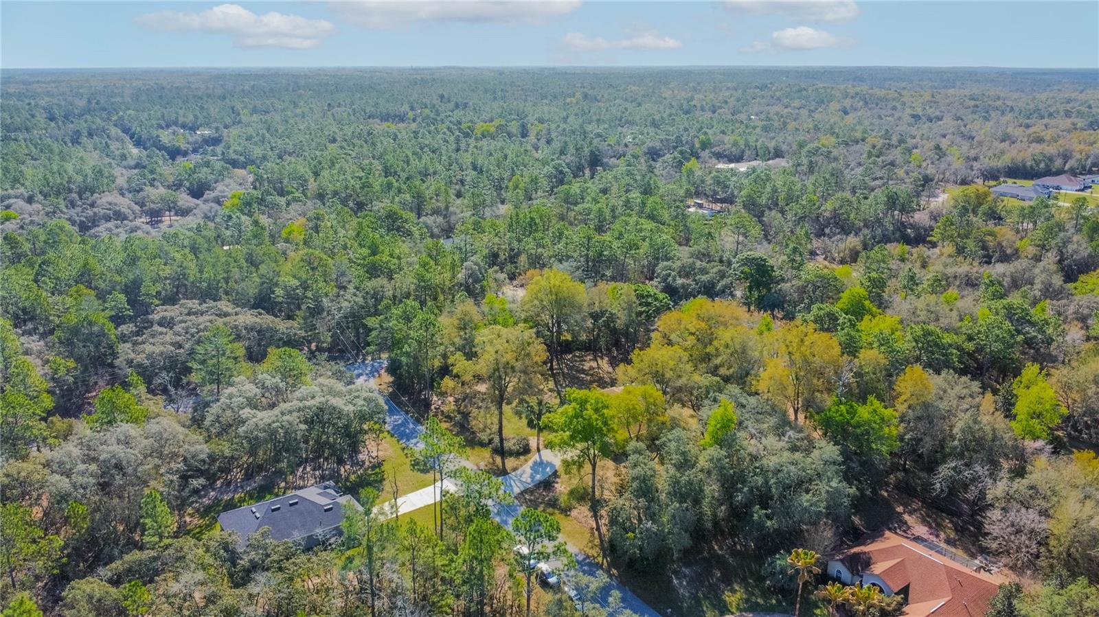 826 E GAINES LN, HERNANDO, FL, 34442