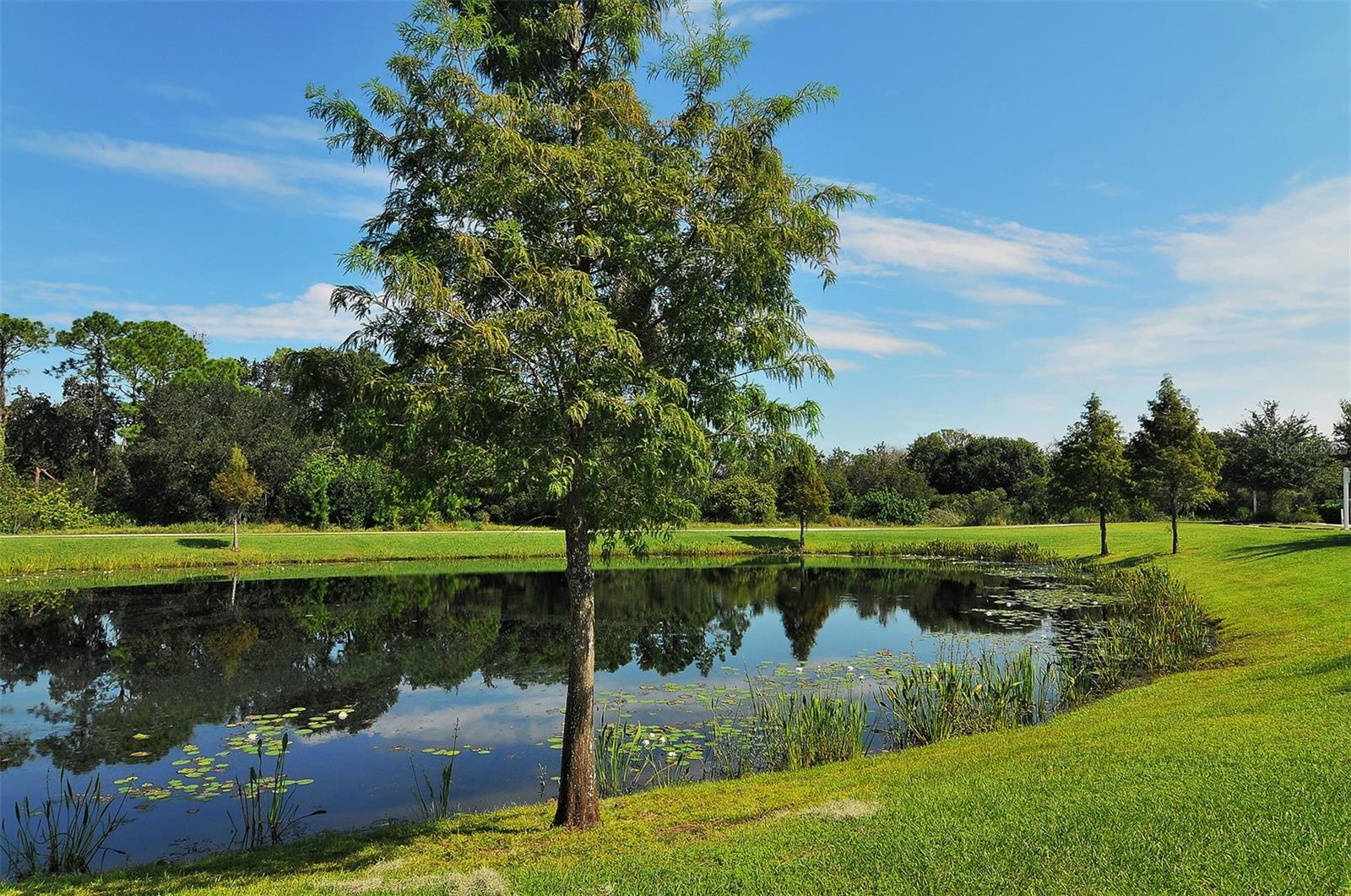 15005 BOWFIN TER, LAKEWOOD RANCH, FL, 34202