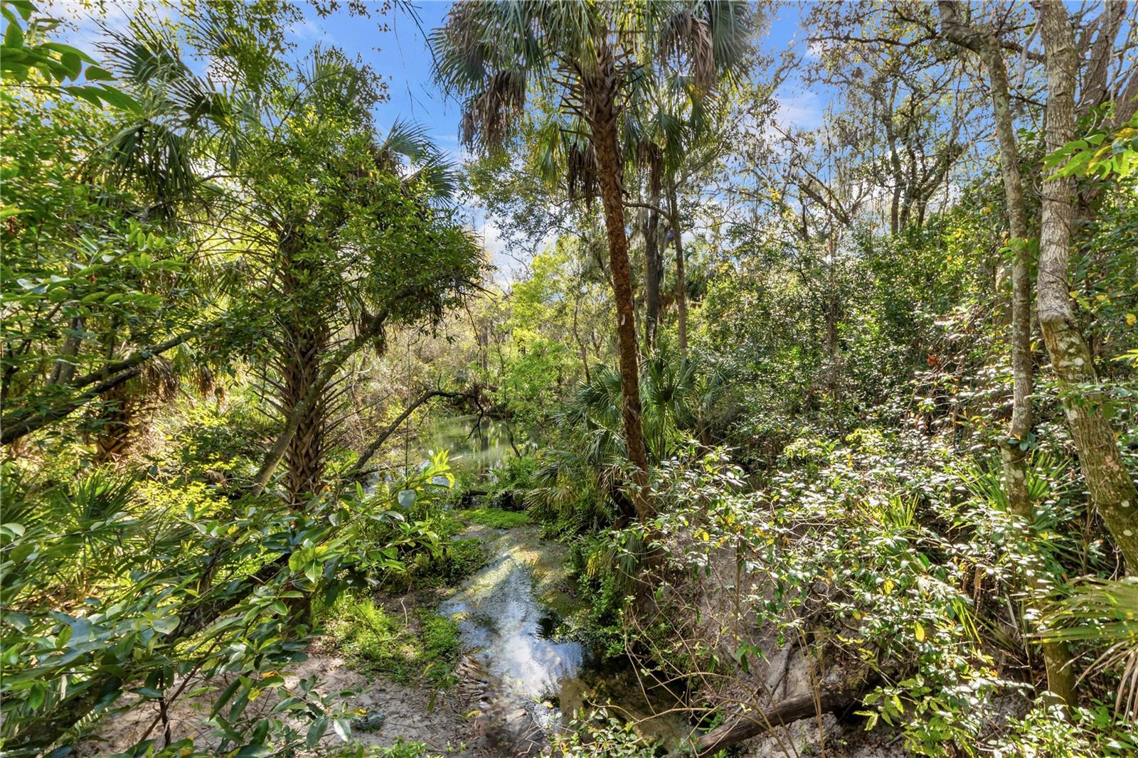 4188 HANOVER DR, NEW PORT RICHEY, FL, 34653