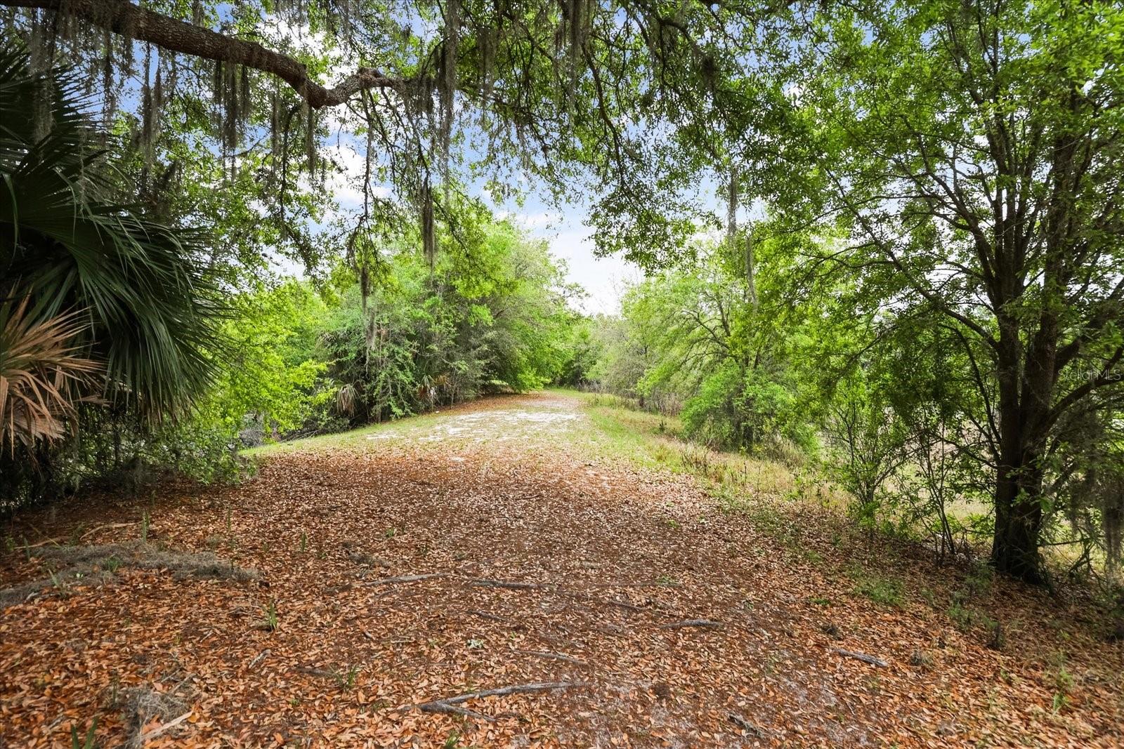 3229 AUTUMNWOOD TRL, APOPKA, FL, 32703