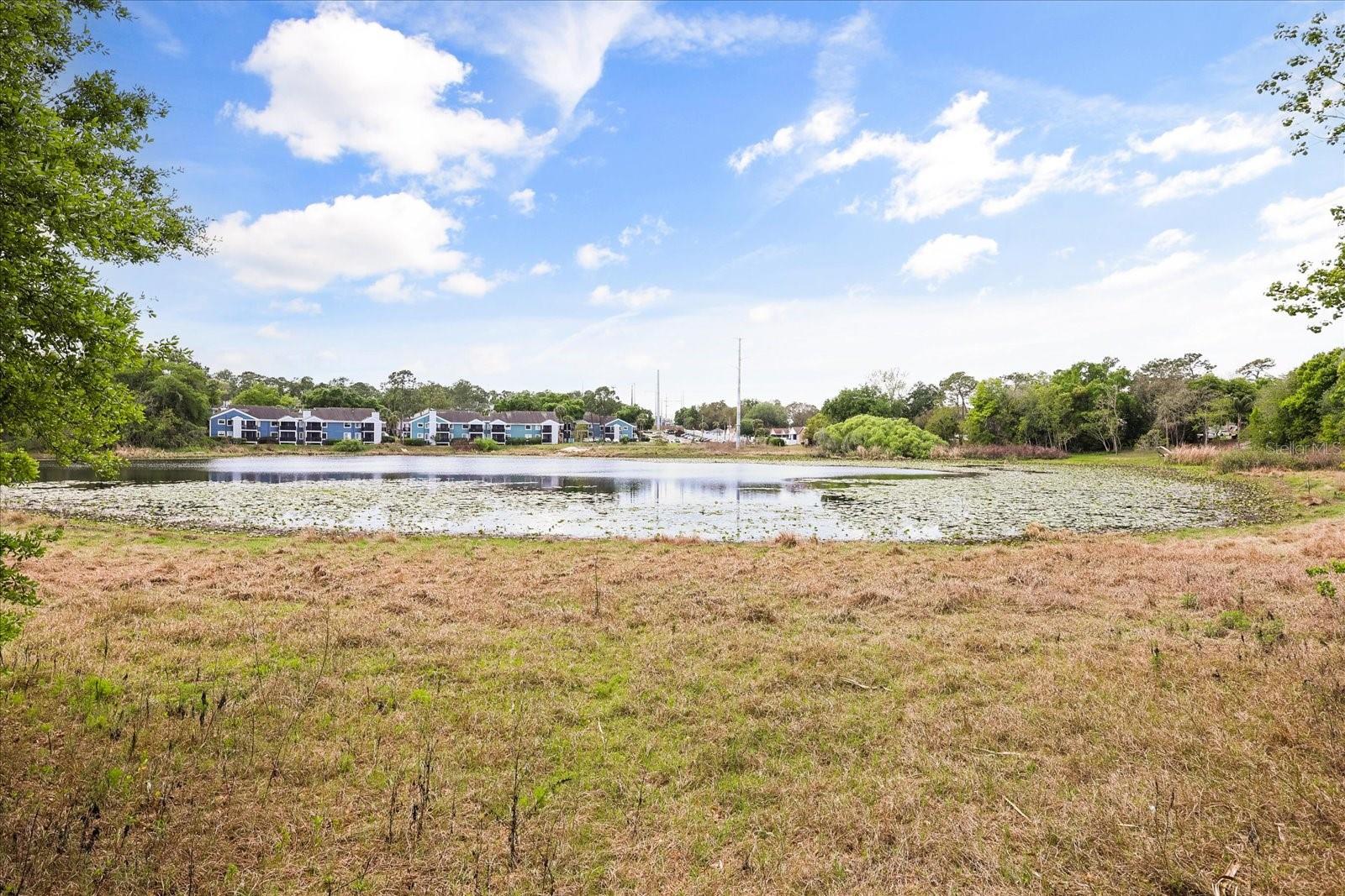 3229 AUTUMNWOOD TRL, APOPKA, FL, 32703