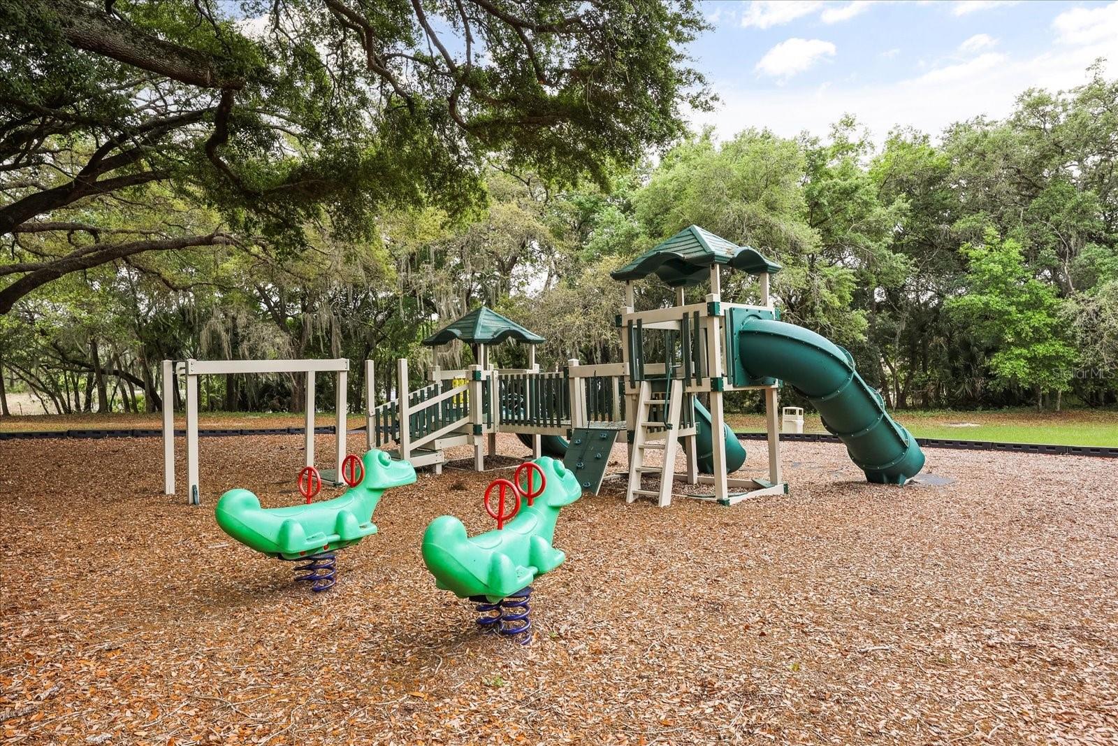 3229 AUTUMNWOOD TRL, APOPKA, FL, 32703
