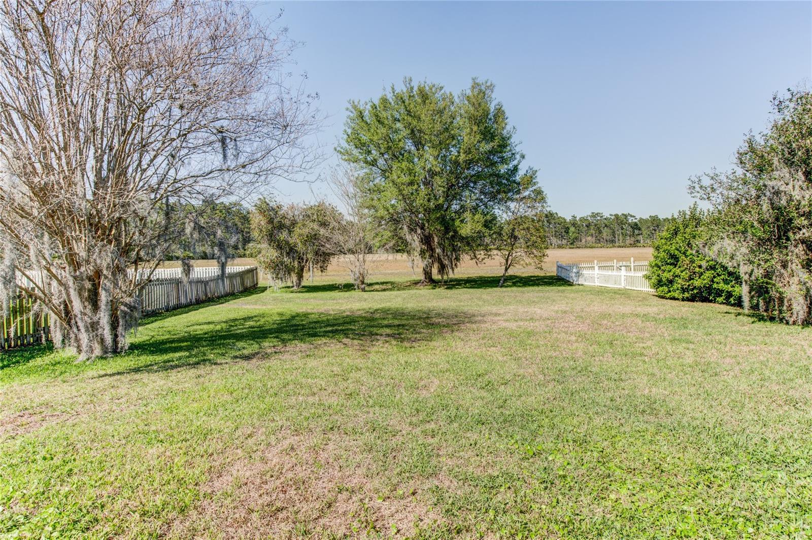 1551 AMARYLLIS CIR, ORLANDO, FL, 32825