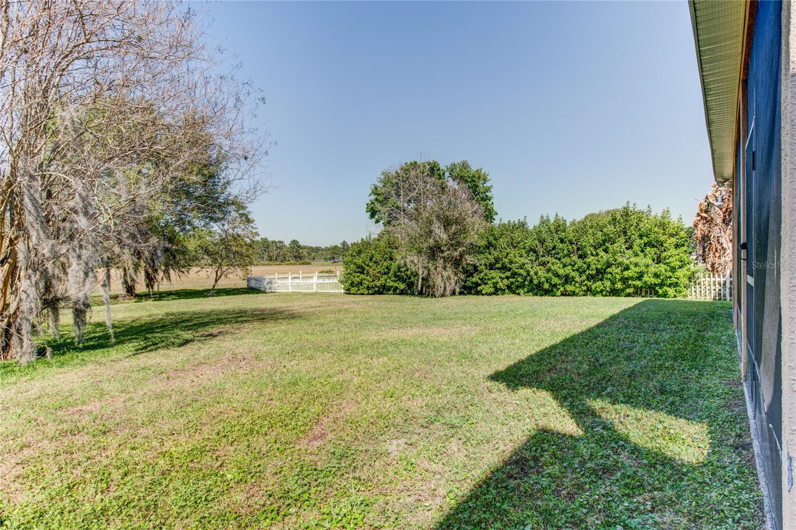 1551 AMARYLLIS CIR, ORLANDO, FL, 32825
