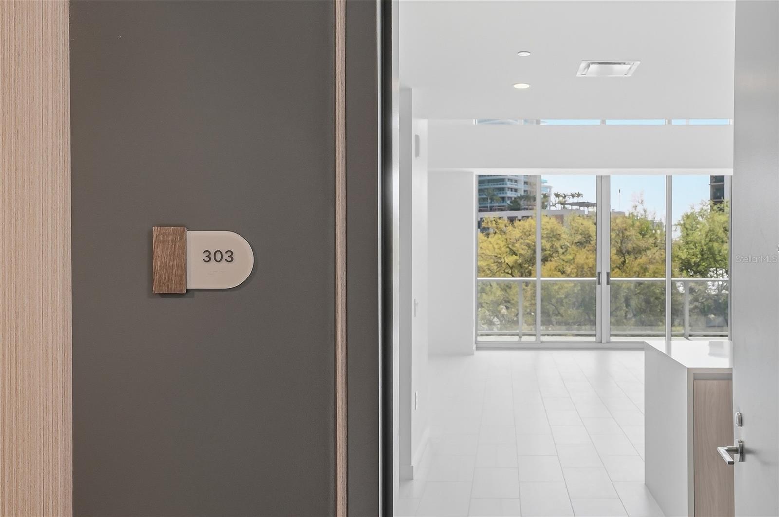 400 CENTRAL AVE #303, ST PETERSBURG, FL, 33701