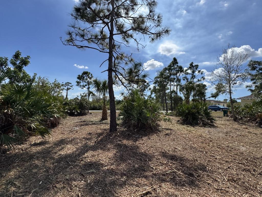 12238 ZITTLE AVE, PORT CHARLOTTE, FL, 33981