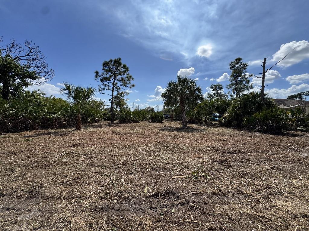 12238 ZITTLE AVE, PORT CHARLOTTE, FL, 33981