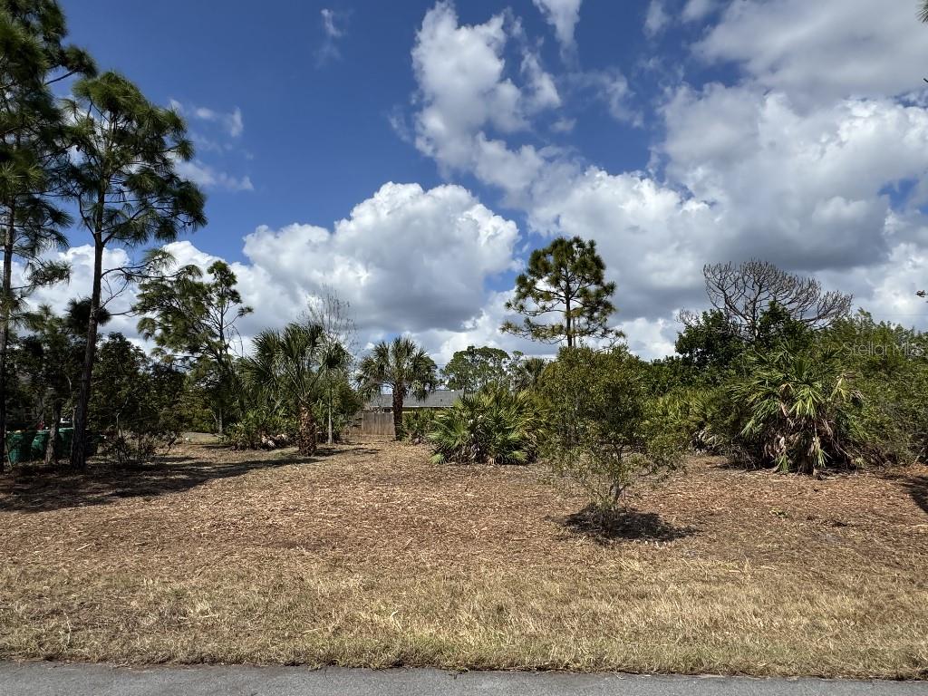 12238 ZITTLE AVE, PORT CHARLOTTE, FL, 33981