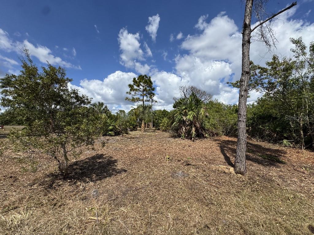 12238 ZITTLE AVE, PORT CHARLOTTE, FL, 33981