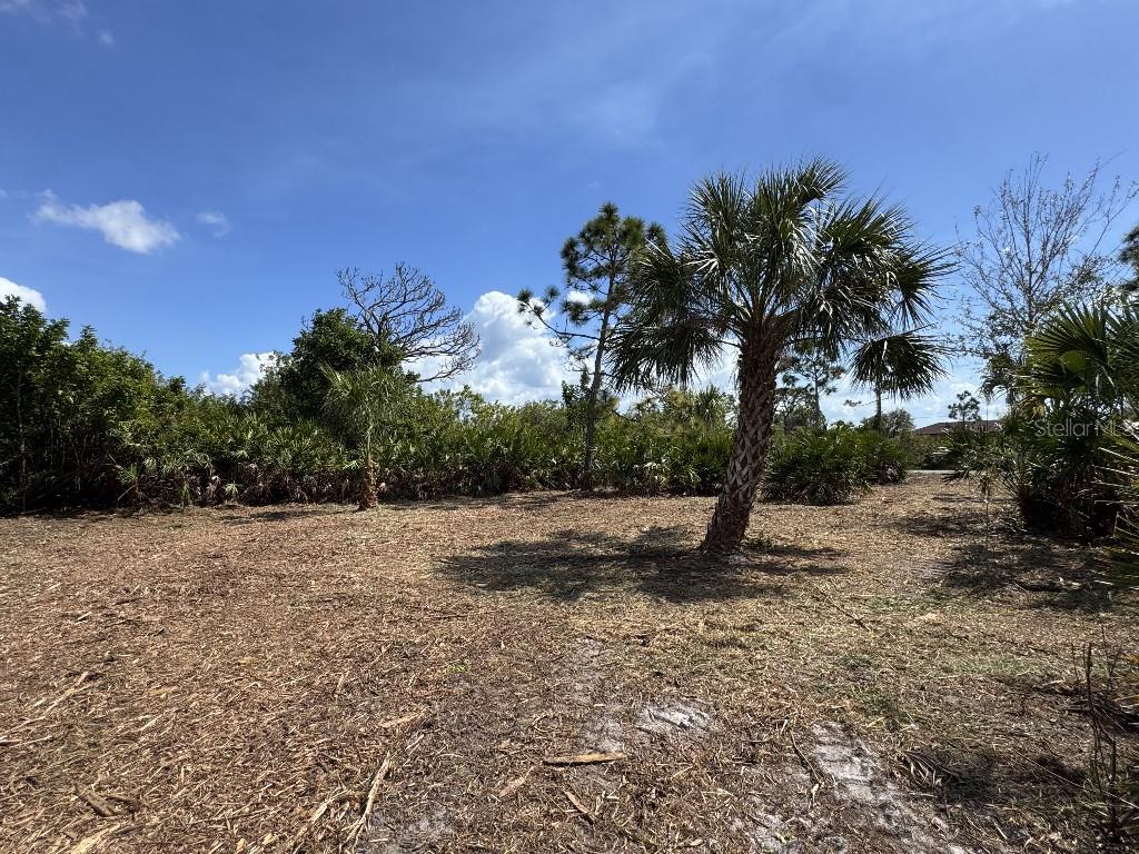 12238 ZITTLE AVE, PORT CHARLOTTE, FL, 33981