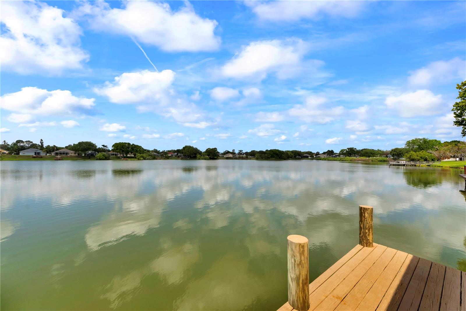 3921 ROSWELL PL, LAND O LAKES, FL, 34639