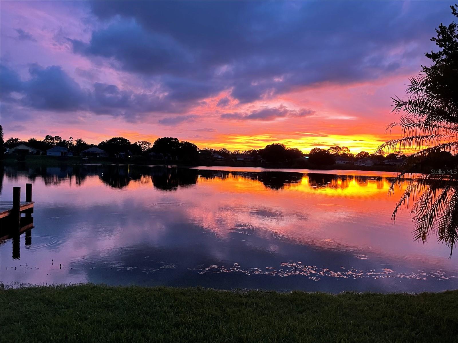 3921 ROSWELL PL, LAND O LAKES, FL, 34639