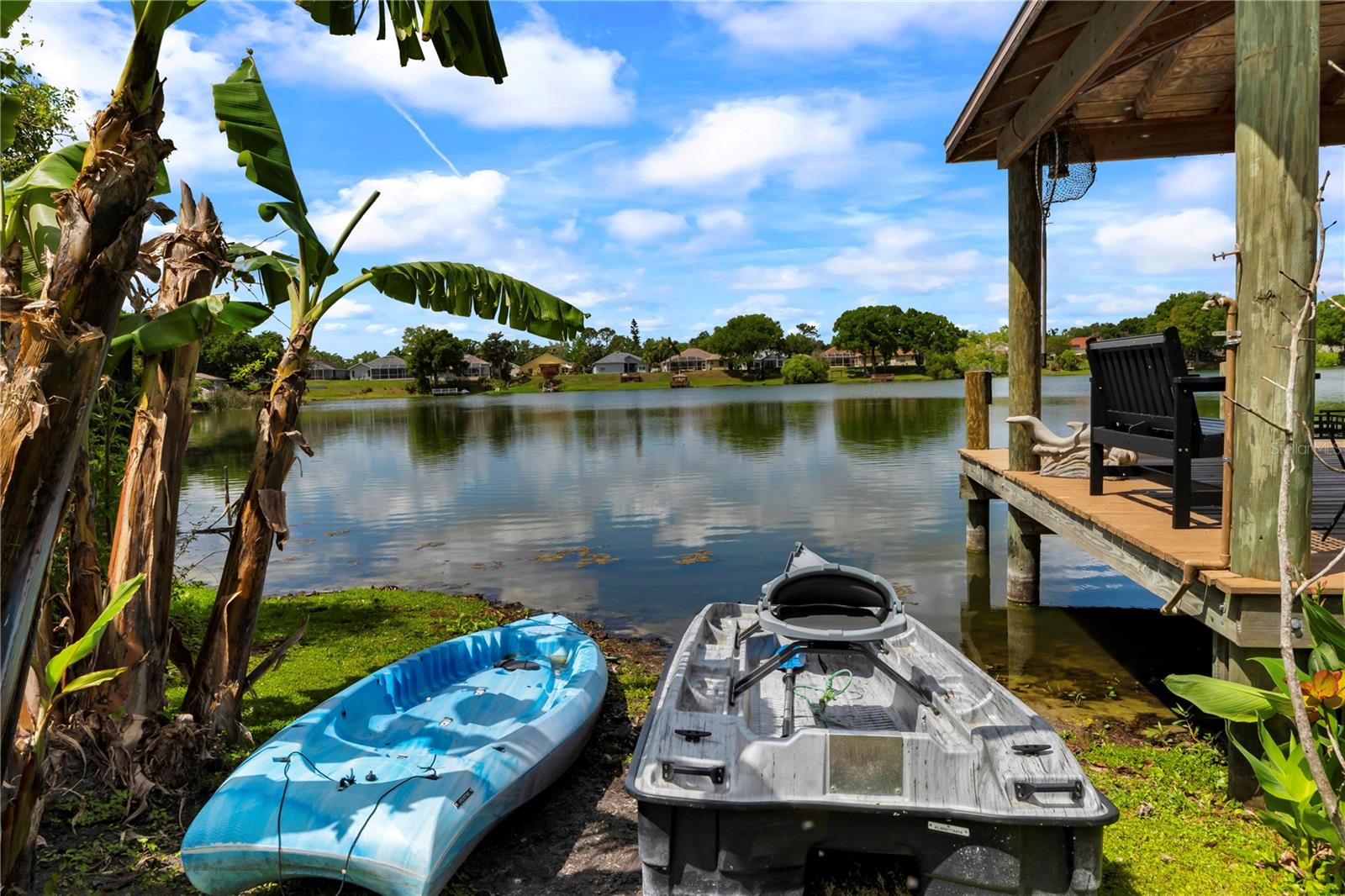 3921 ROSWELL PL, LAND O LAKES, FL, 34639