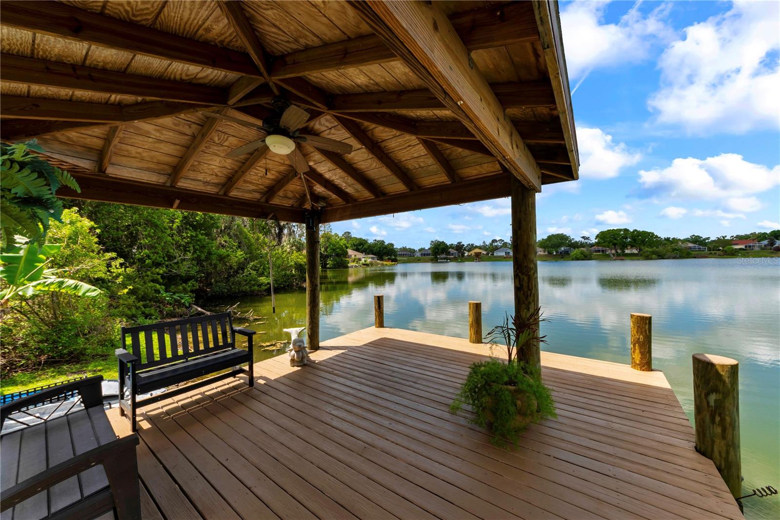 3921 ROSWELL PL, LAND O LAKES, FL, 34639