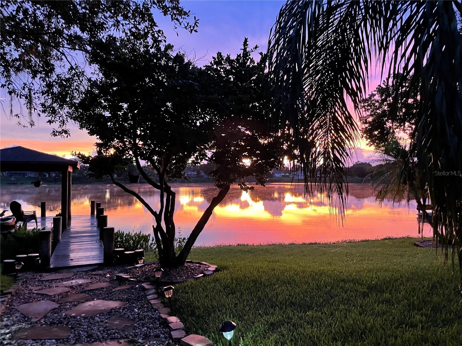 3921 ROSWELL PL, LAND O LAKES, FL, 34639