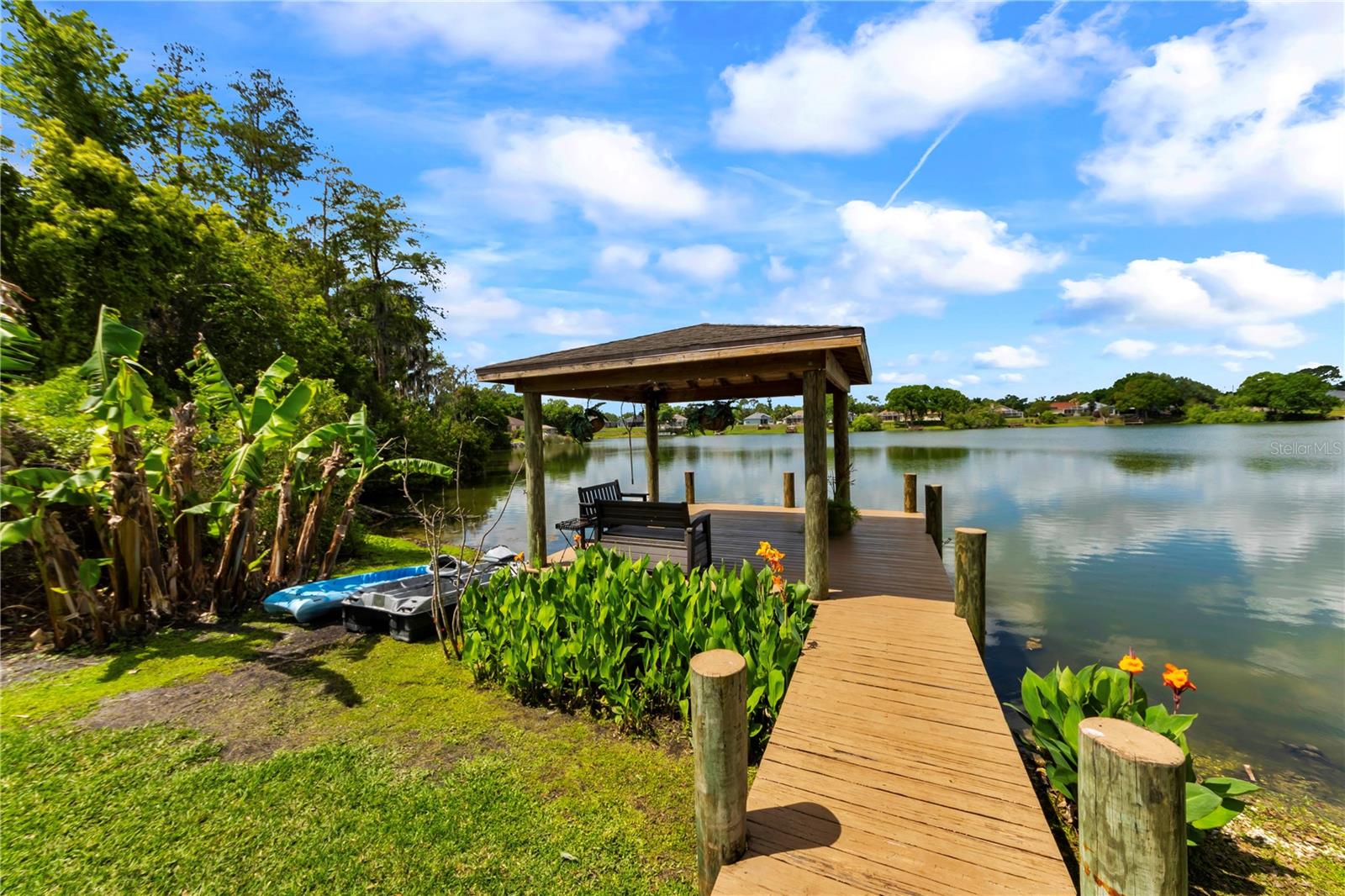 3921 ROSWELL PL, LAND O LAKES, FL, 34639