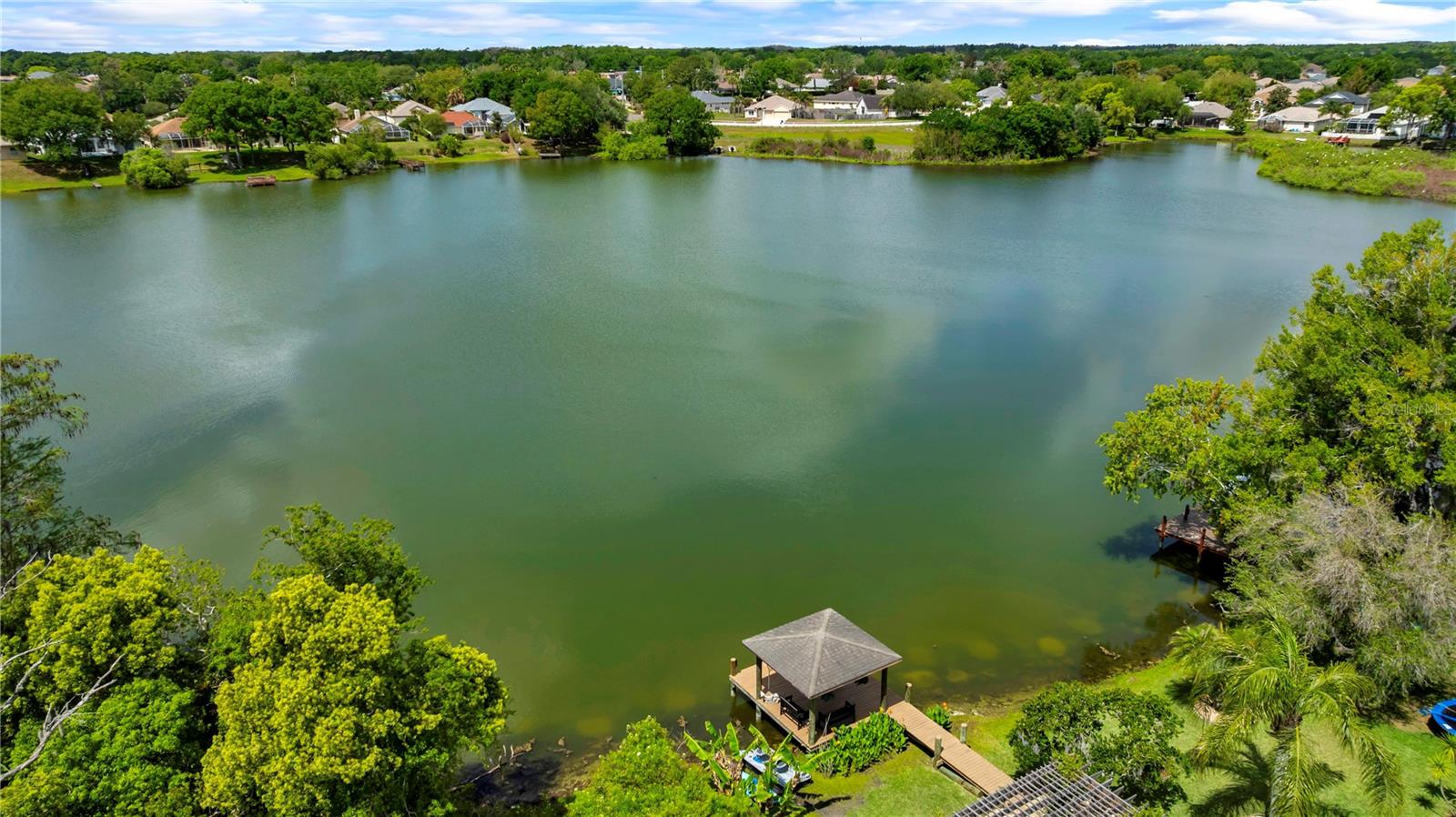 3921 ROSWELL PL, LAND O LAKES, FL, 34639
