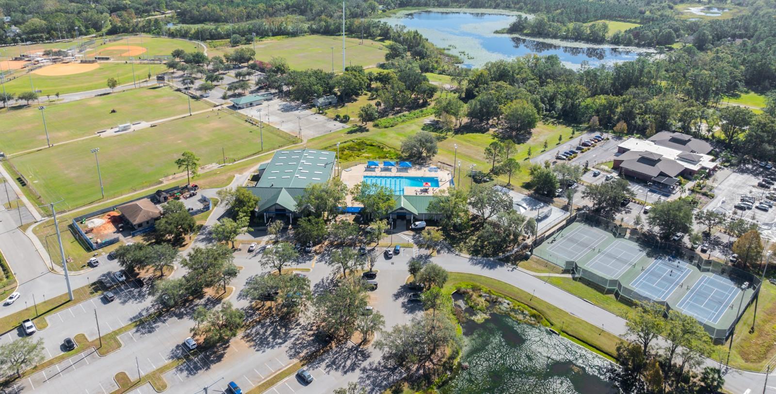 3921 ROSWELL PL, LAND O LAKES, FL, 34639