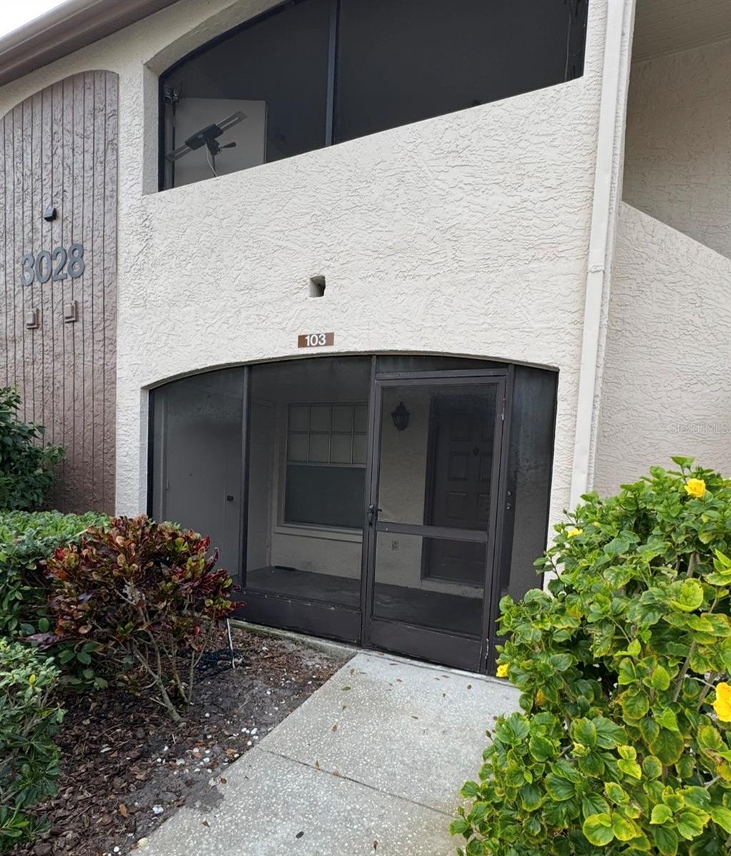 3028 BONAVENTURE CIR #103, PALM HARBOR, FL, 34684