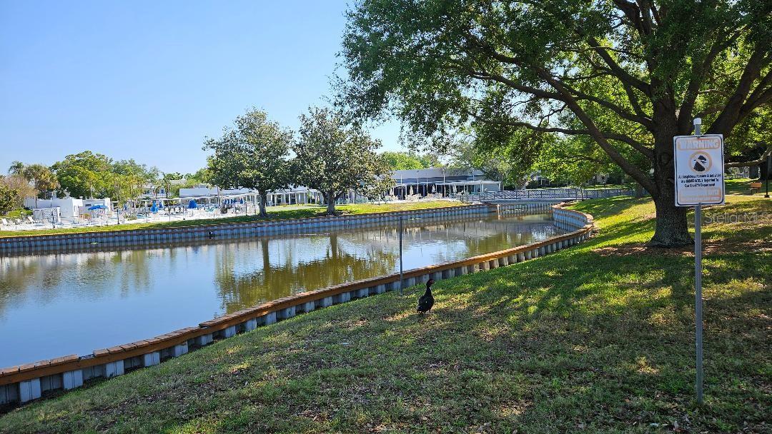 VIEW FROM THE FLORIDA ROOM