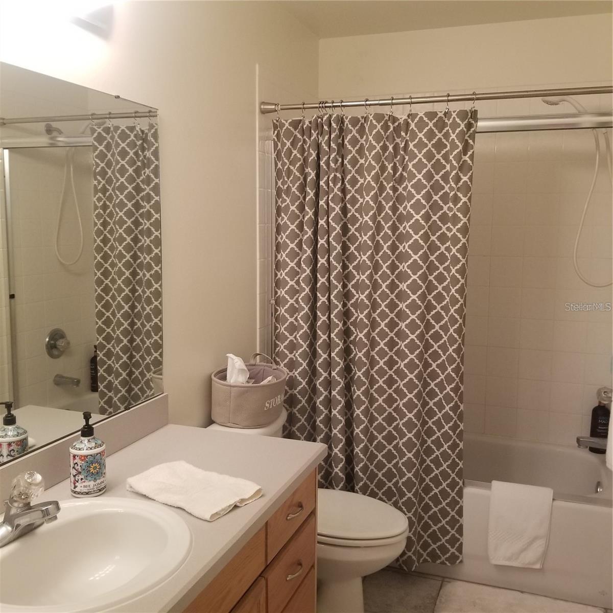 6218 BRIDGEVISTA DR, LITHIA, FL, 33547