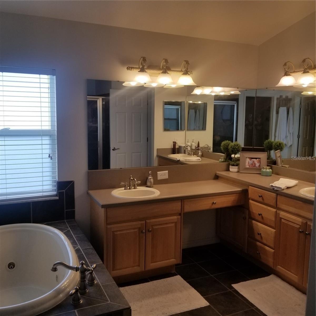 6218 BRIDGEVISTA DR, LITHIA, FL, 33547