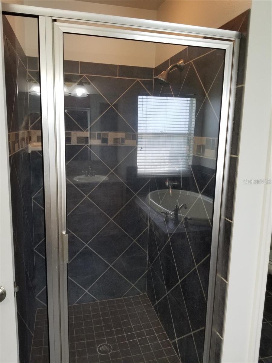 6218 BRIDGEVISTA DR, LITHIA, FL, 33547