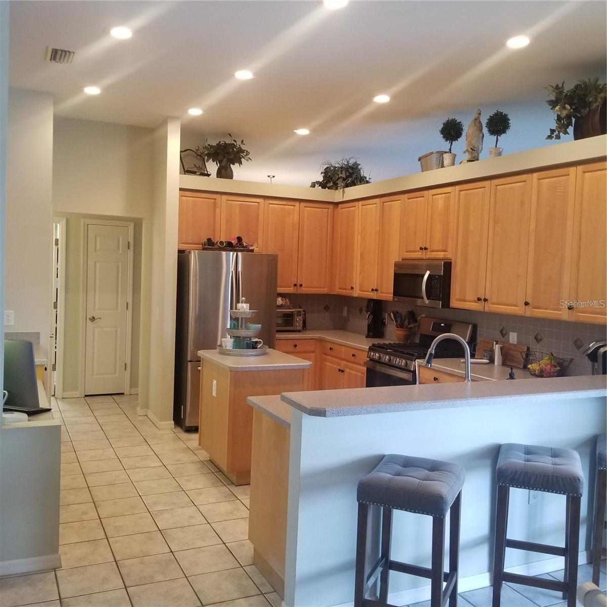 6218 BRIDGEVISTA DR, LITHIA, FL, 33547
