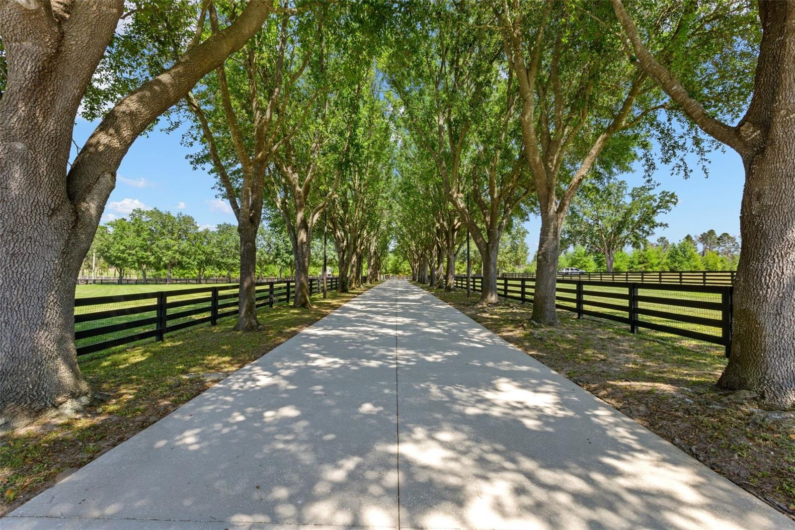 9751 QUIET LN, WINTER GARDEN, FL, 34787