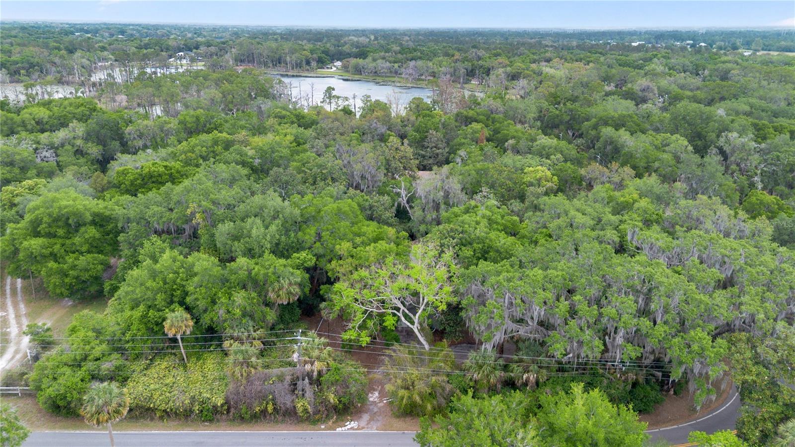 599 LAKE GENEVA RD, GENEVA, FL, 32732