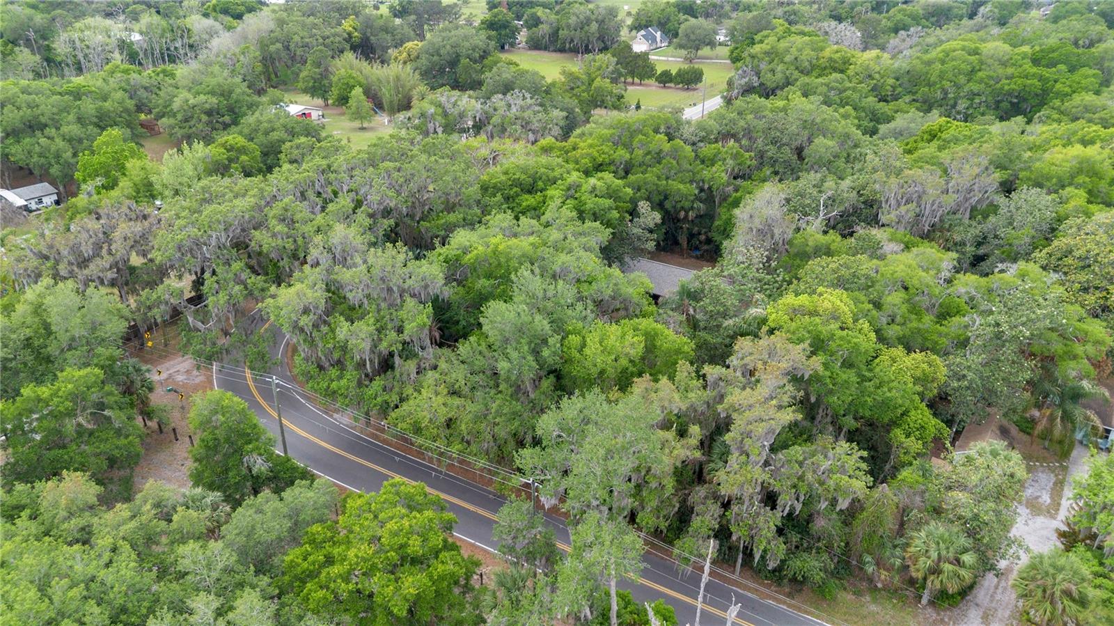 599 LAKE GENEVA RD, GENEVA, FL, 32732