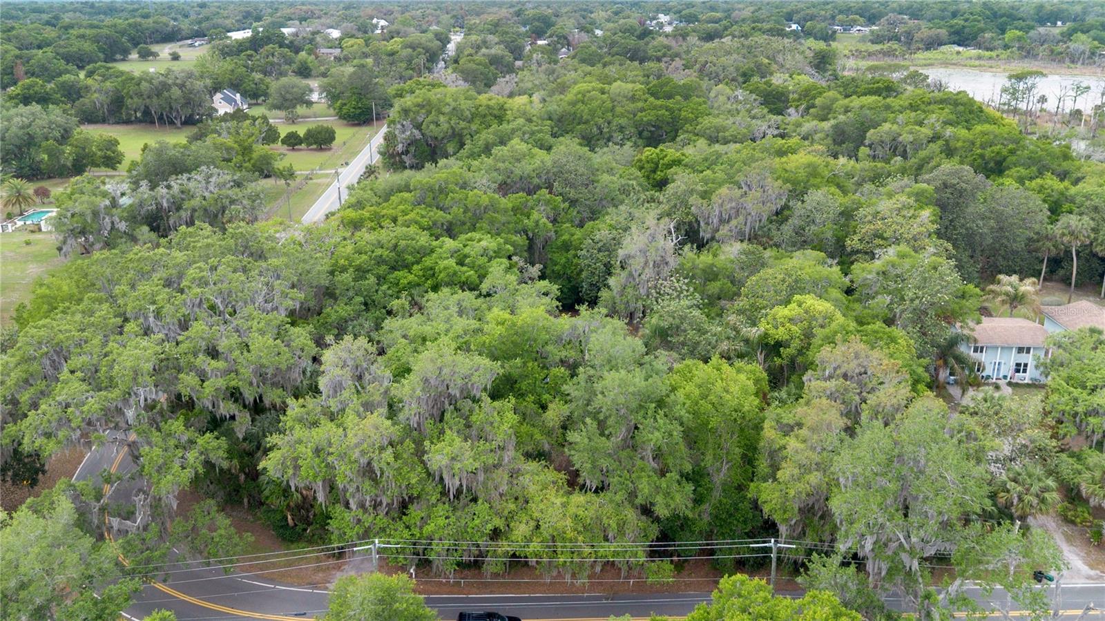 599 LAKE GENEVA RD, GENEVA, FL, 32732