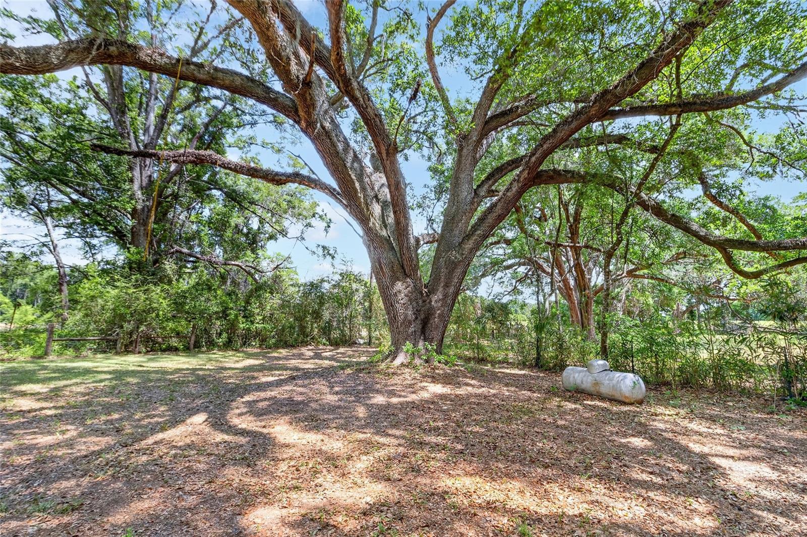 16803 NW STATE ROAD 45, HIGH SPRINGS, FL, 32643