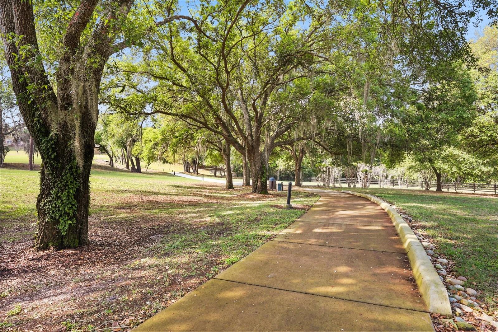 21709 HIDDEN CREEK LN, MOUNT DORA, FL, 32757