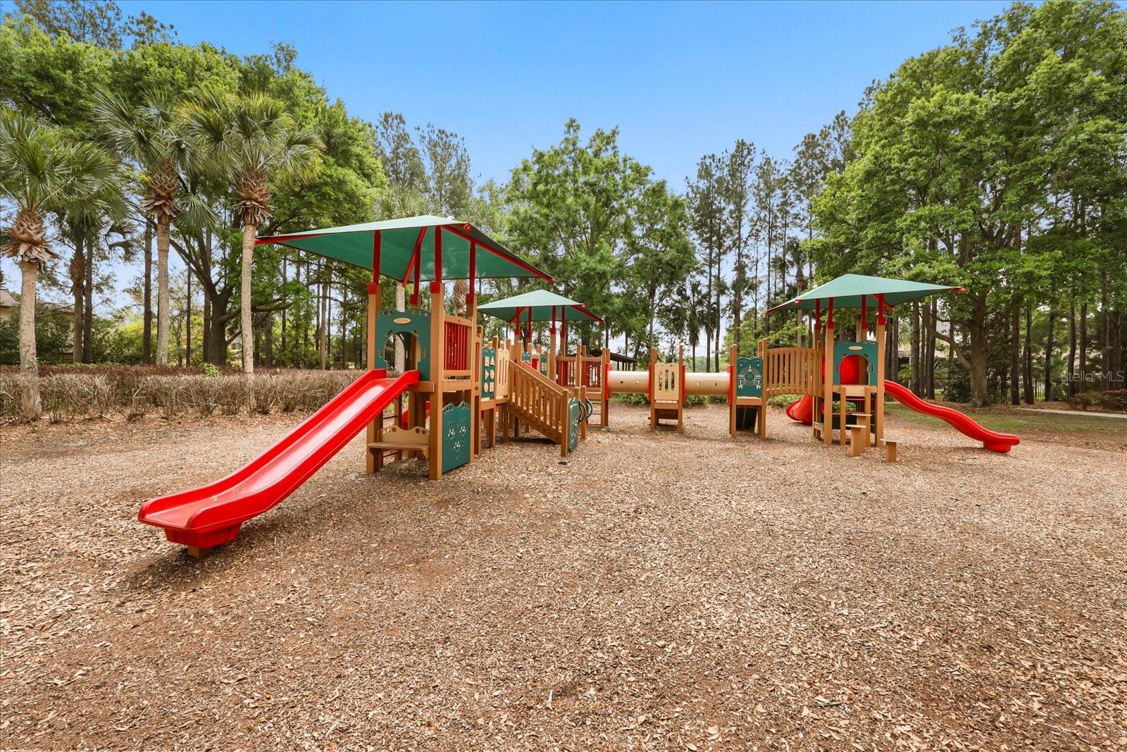 21709 HIDDEN CREEK LN, MOUNT DORA, FL, 32757