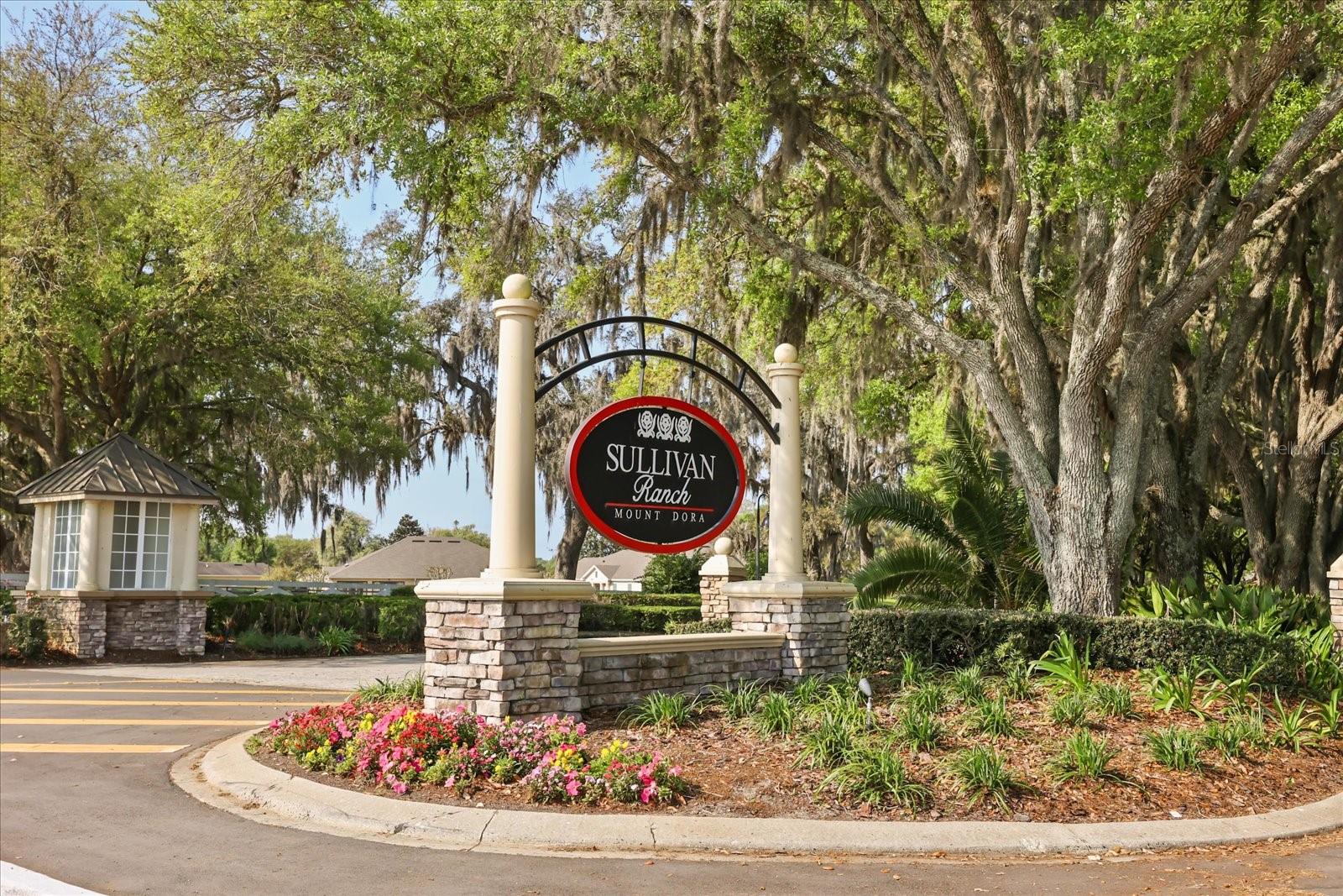 21709 HIDDEN CREEK LN, MOUNT DORA, FL, 32757