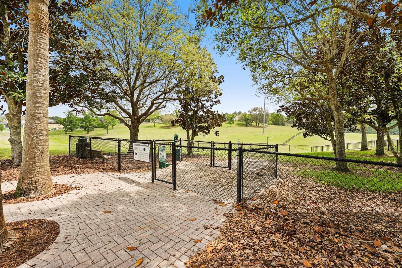 21709 HIDDEN CREEK LN, MOUNT DORA, FL, 32757
