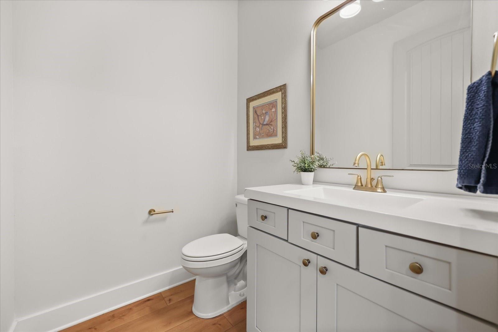 21709 HIDDEN CREEK LN, MOUNT DORA, FL, 32757