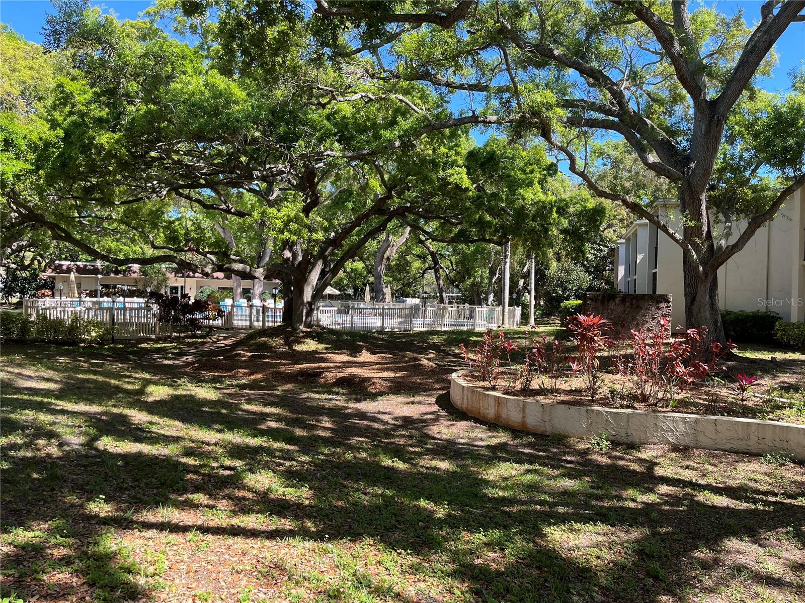 870 VIRGINIA ST #111, DUNEDIN, FL, 34698
