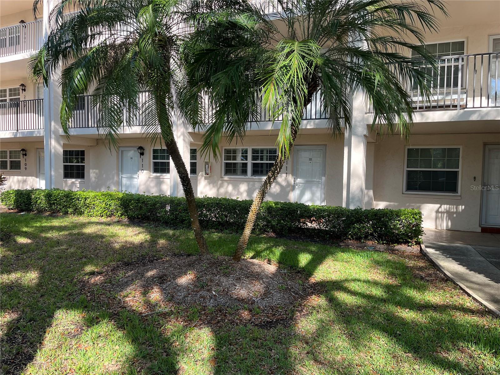 870 VIRGINIA ST #111, DUNEDIN, FL, 34698