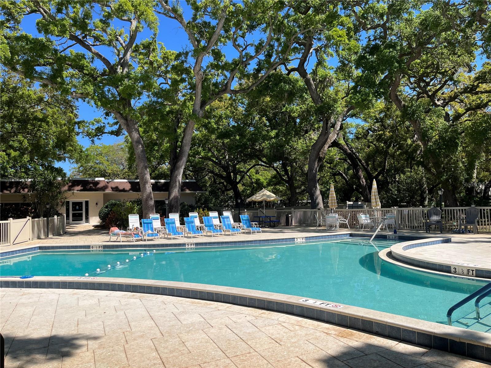 870 VIRGINIA ST #111, DUNEDIN, FL, 34698