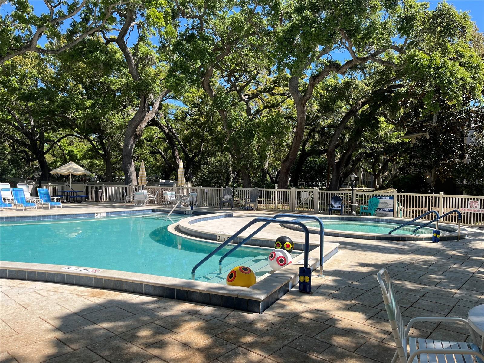 870 VIRGINIA ST #111, DUNEDIN, FL, 34698