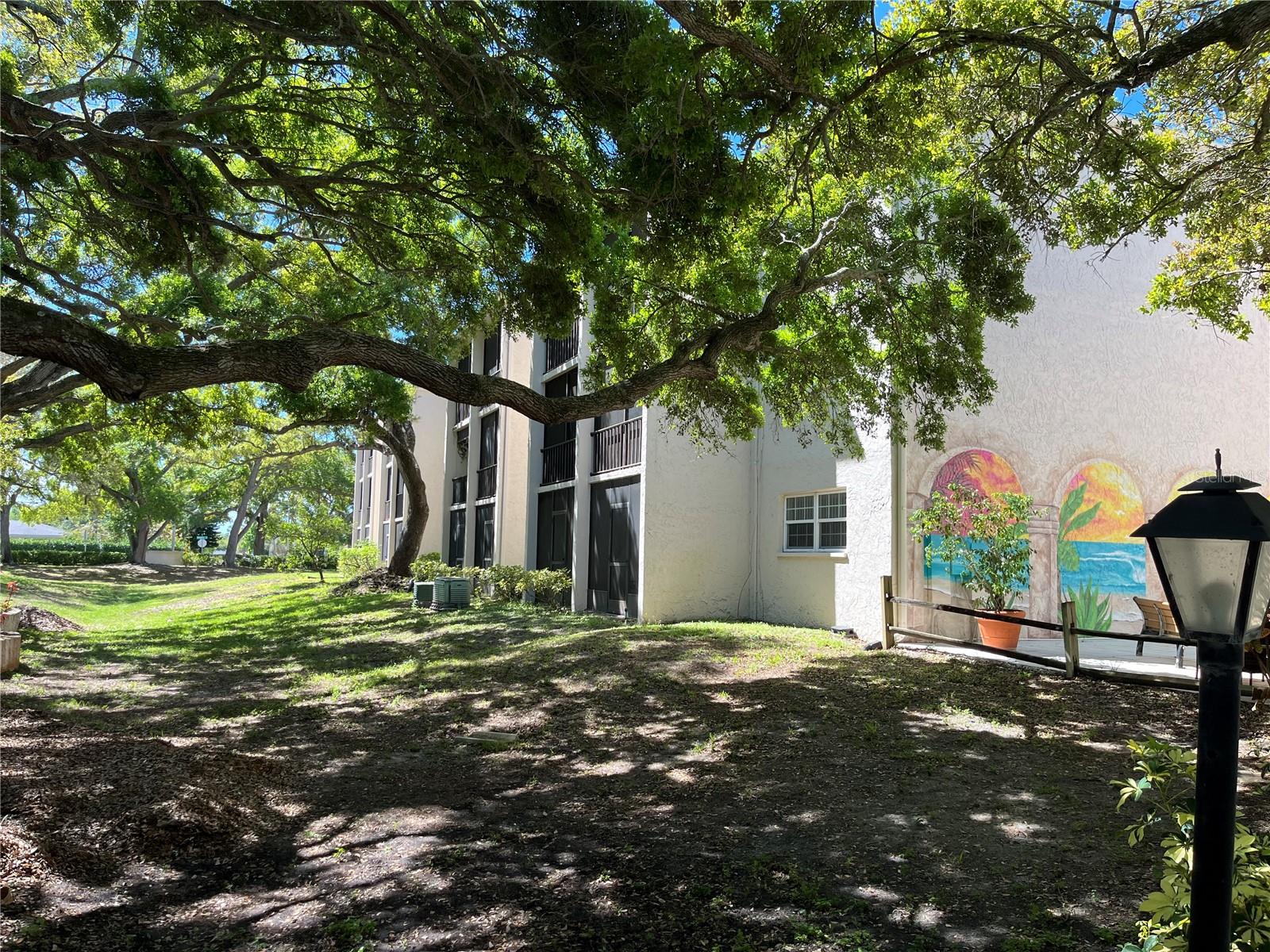 870 VIRGINIA ST #111, DUNEDIN, FL, 34698