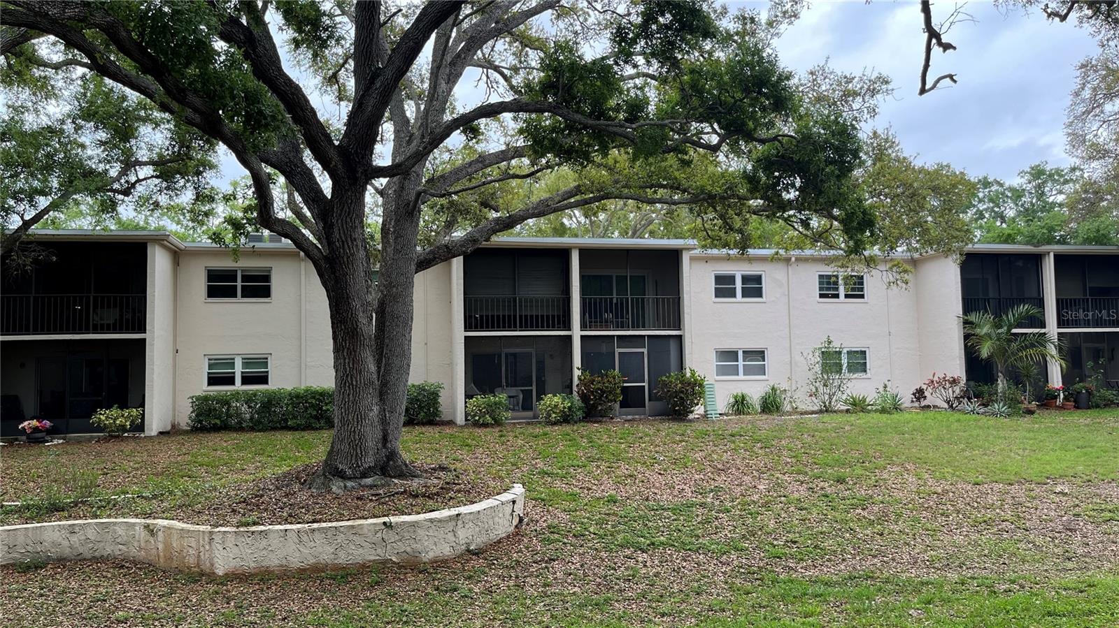 870 VIRGINIA ST #111, DUNEDIN, FL, 34698