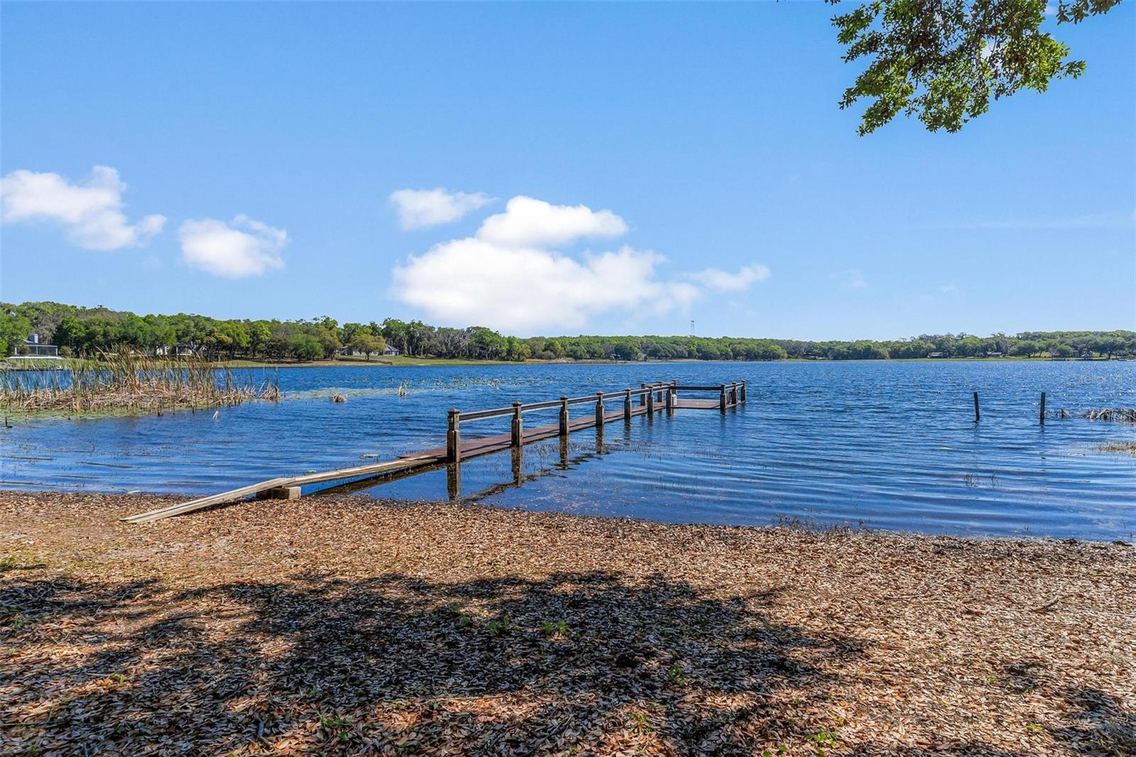 926 HAWK LNDG, FRUITLAND PARK, FL, 34731