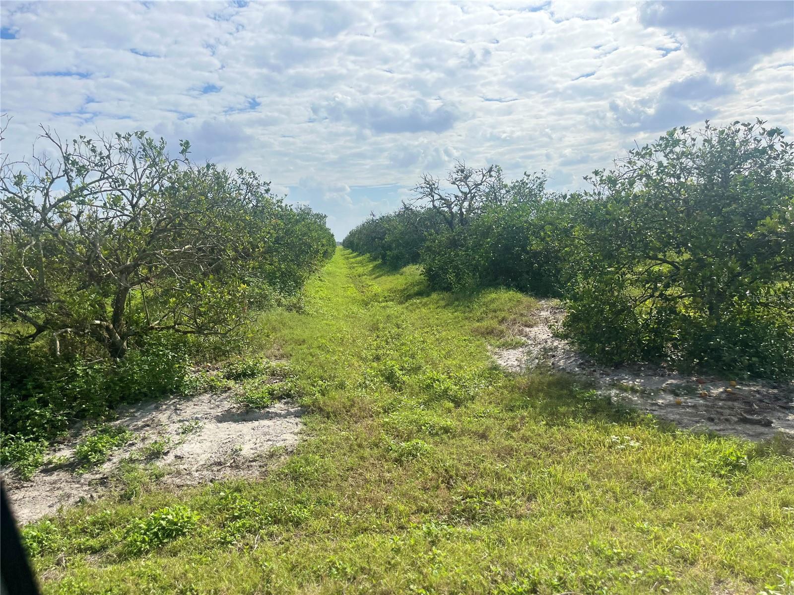 NE HWY 70, ARCADIA, FL, 34266