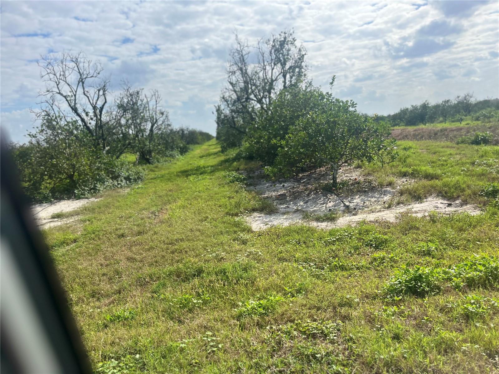 NE HWY 70, ARCADIA, FL, 34266