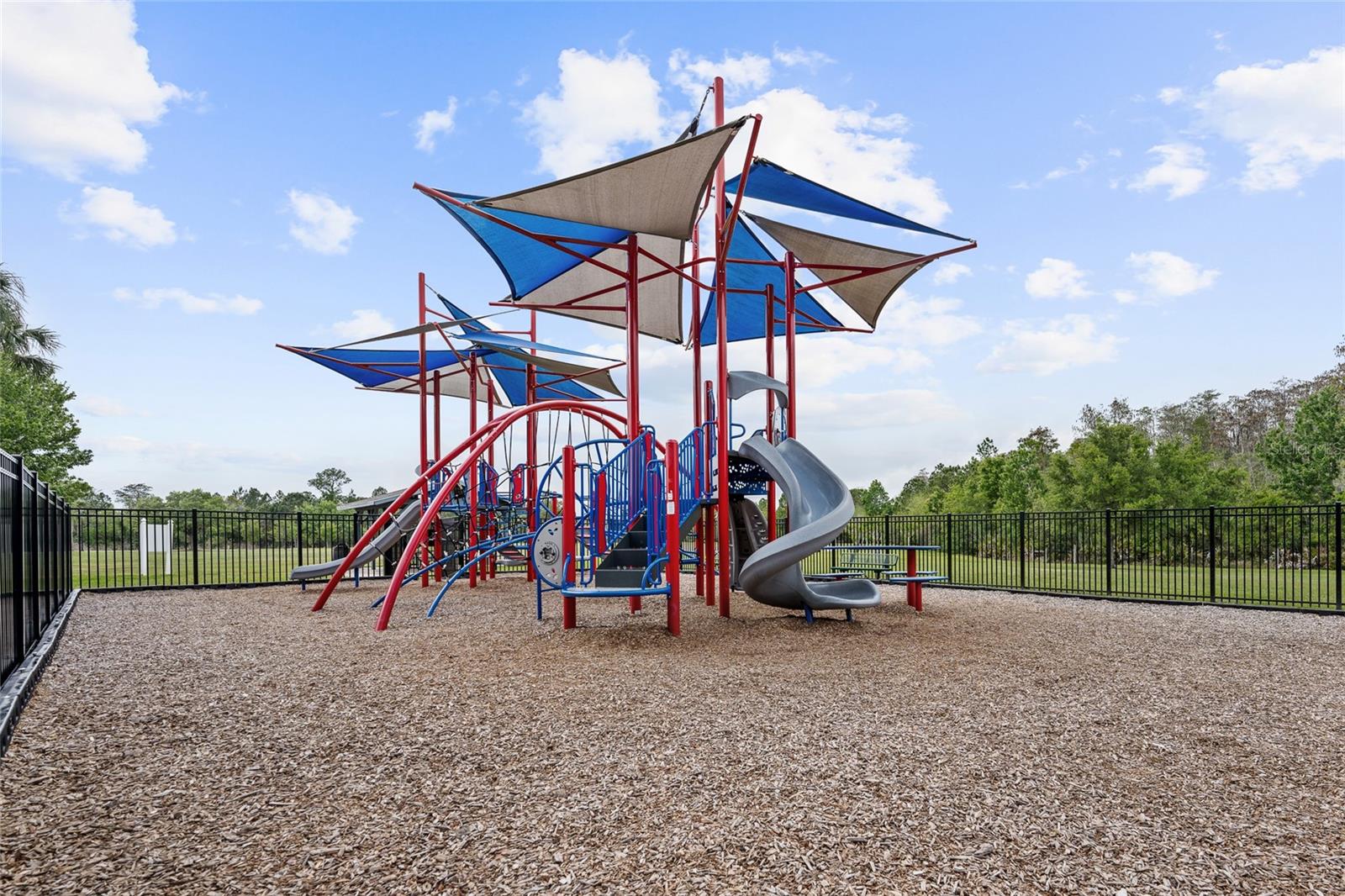 12315 SAWGRASS PRAIRIE LOOP, ORLANDO, FL, 32824