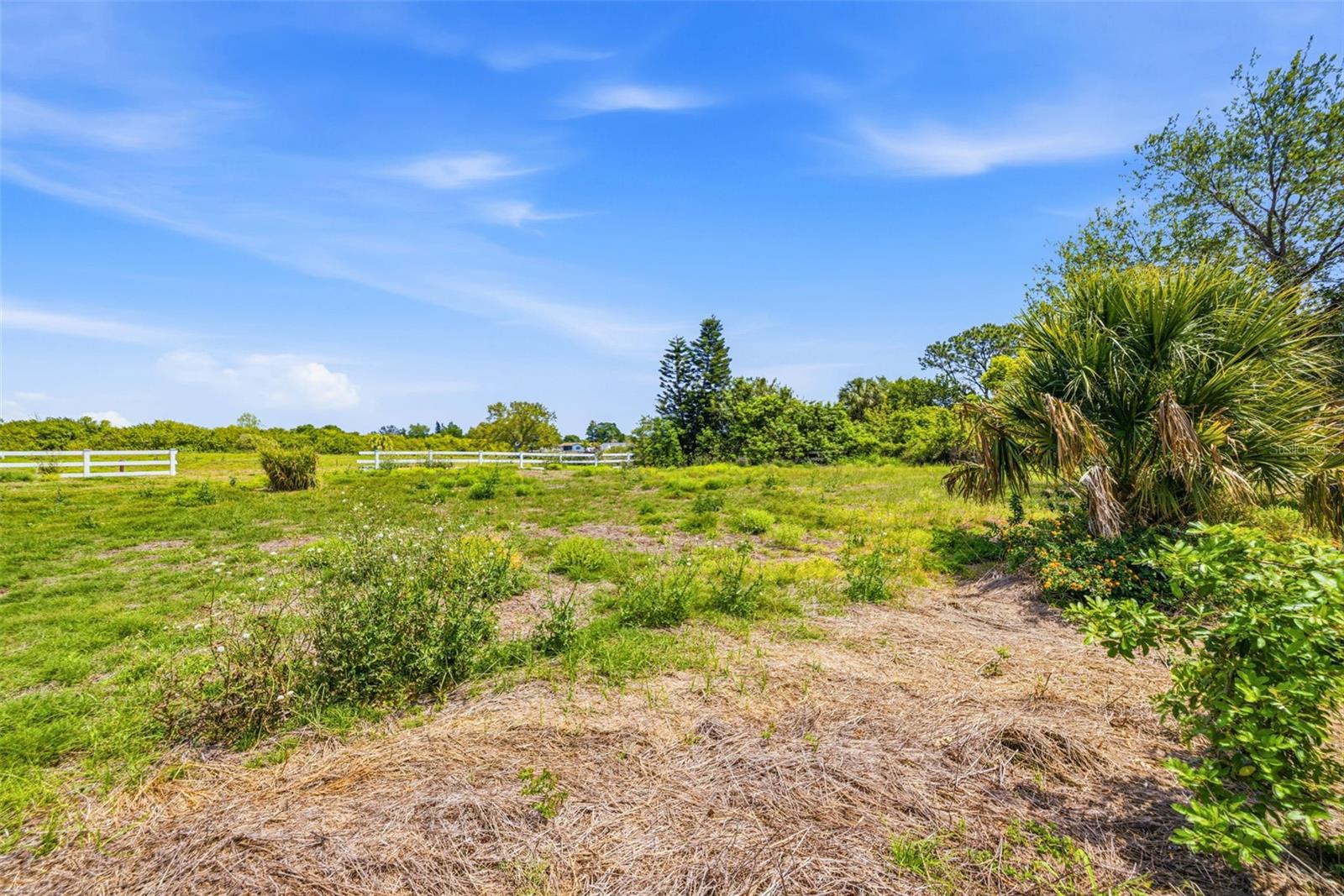1504 JACKSON DRIVE, HOLIDAY, FL, 34691