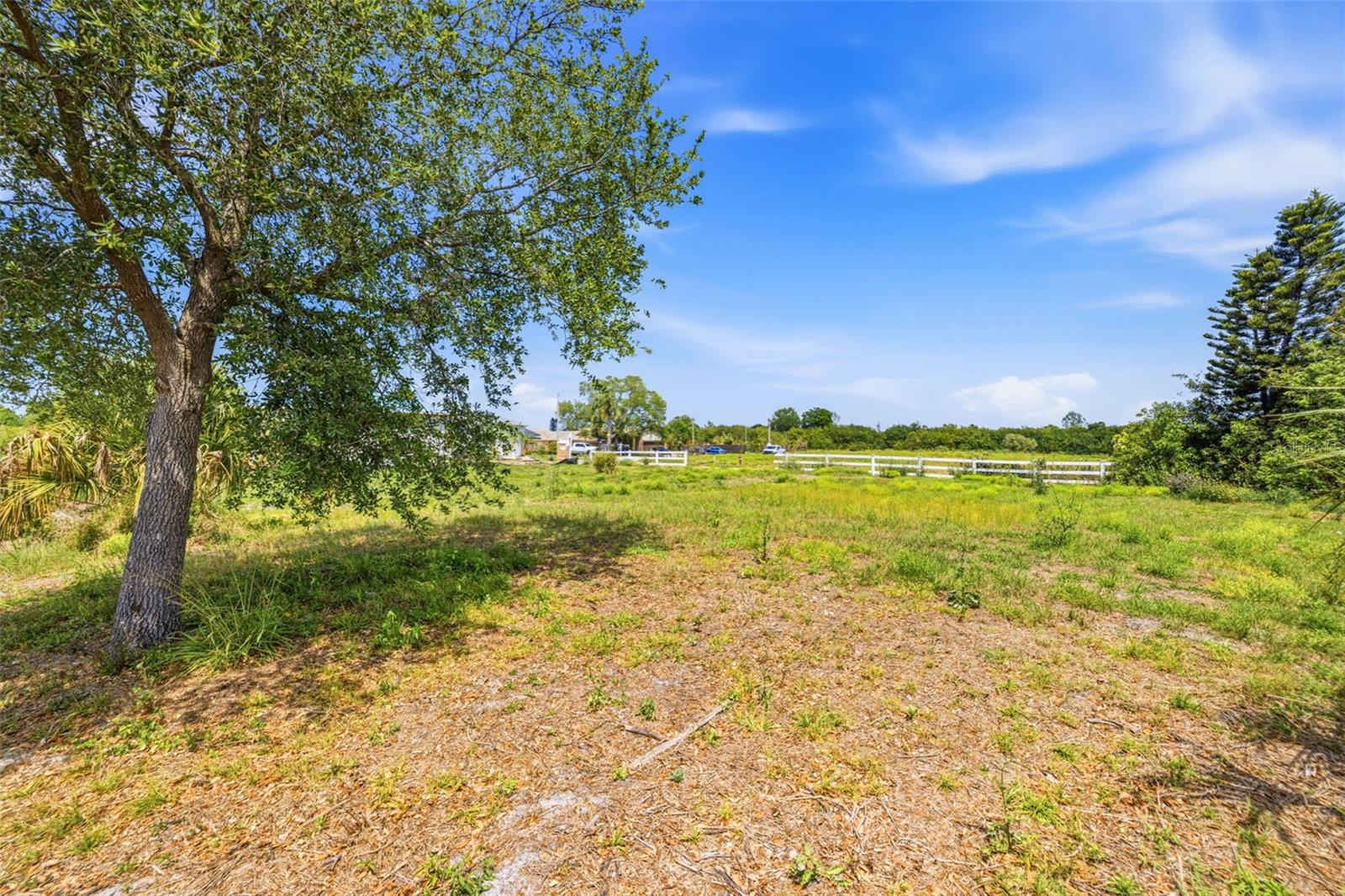 1504 JACKSON DRIVE, HOLIDAY, FL, 34691